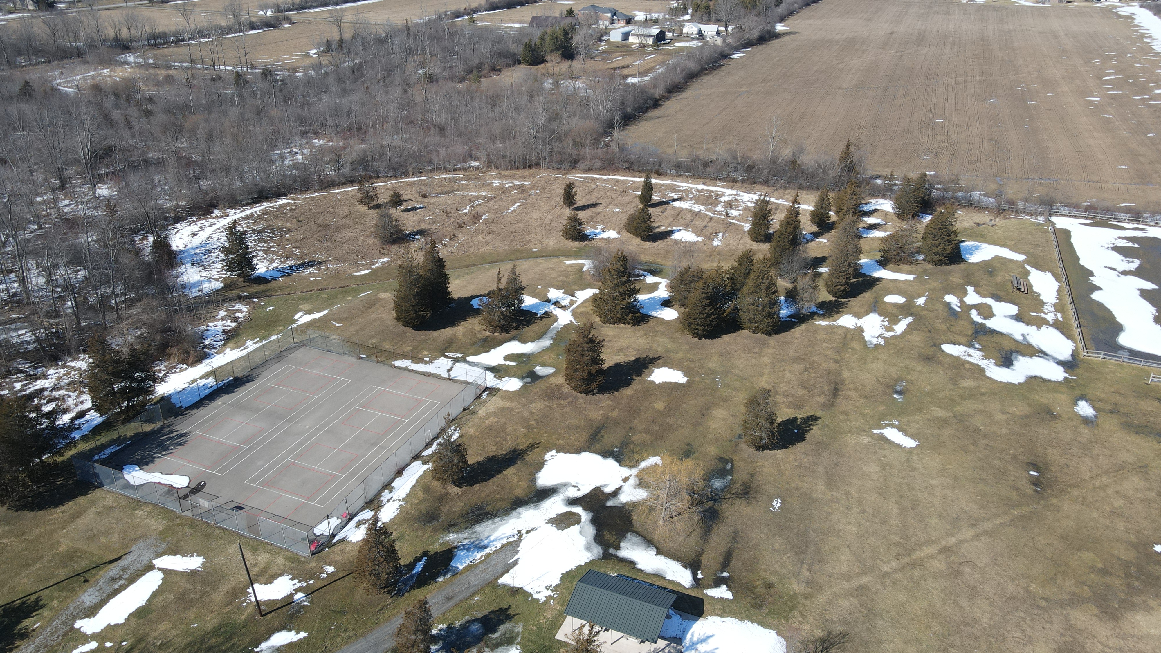 Centennial Park Drone